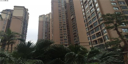 小花小甲花甲粉