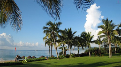 徽正里里西欢乐鸡排