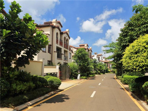 水木鲜果冻酸奶加盟在湛江市开店会亏吗