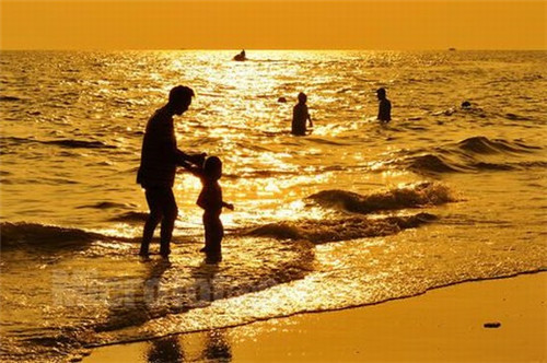 男宝起名张君什么好听（张君名字大全）