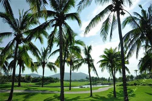 开机械公司怎么取名字（机械公司起名大全简单大气）