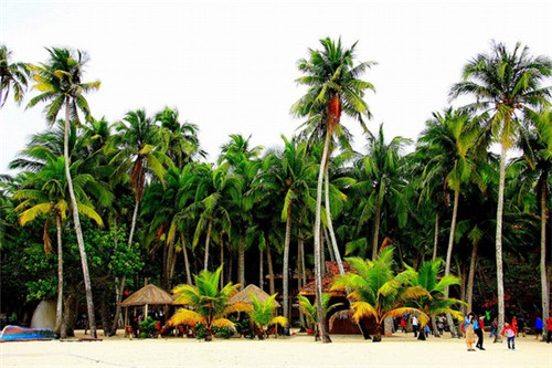 4399最奇葩的小游戏（4399最奇怪的游戏）