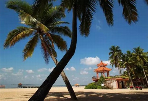 米粒甜甜加盟费多少