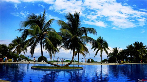 如何获取福祺道鱼火锅加盟电话