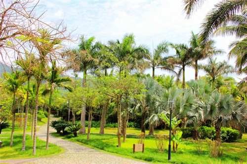 有什么好的婚纱加盟品牌