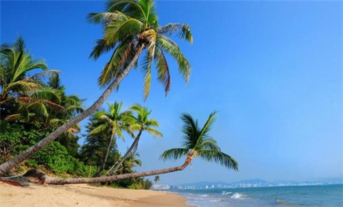 颍州永昌夜市哪里好玩（颍州永昌夜市哪里好玩的）
